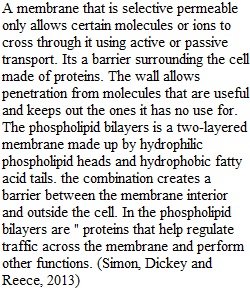 Unit 3 Discussion 1